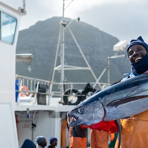 Sydafrikansk stangfiskeri af tun bliver det første, der opnår MSC-certificering efter deltagelse i 'In-Transition to MSC'-programmet