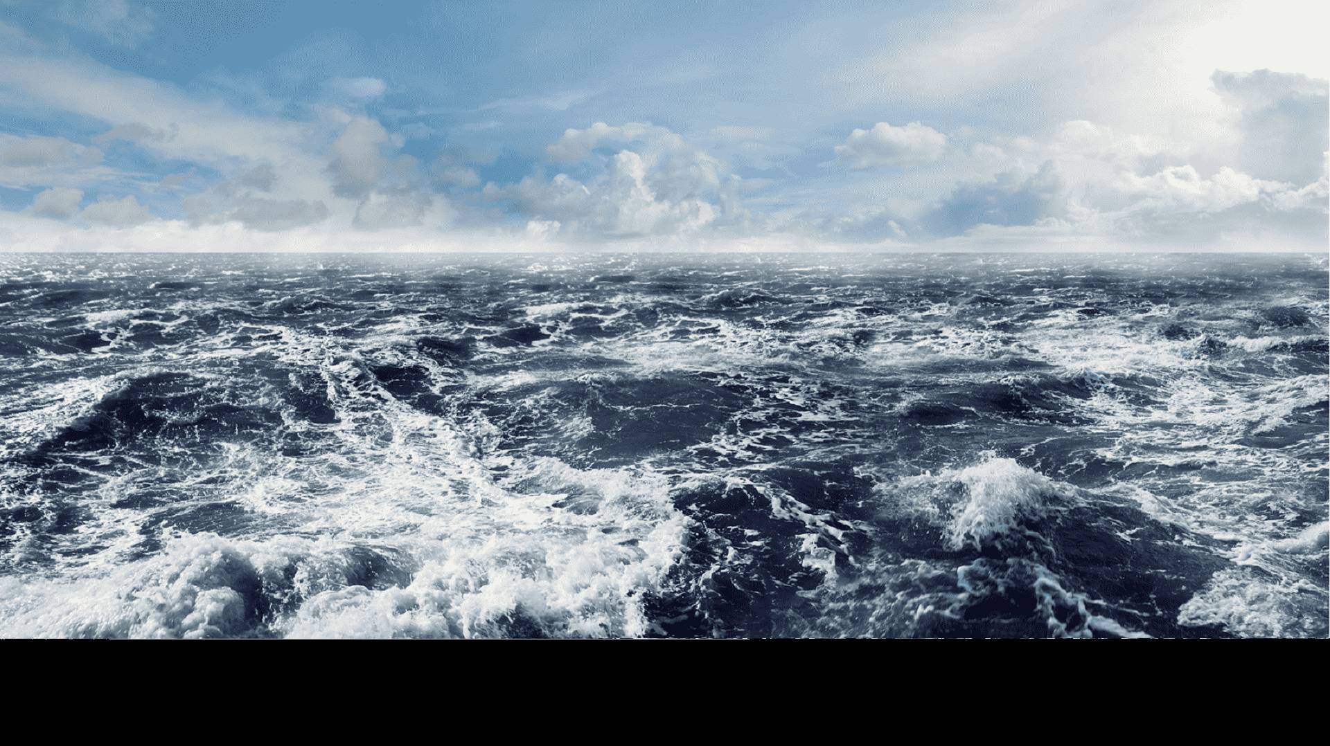 La historia de MSC, los 20 primeros años de pesca sostenible