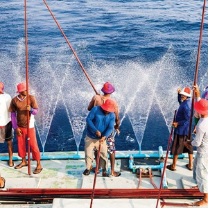 Ensimmäinen Indonesialainen tonnikalankalastus sai MSC-sertifikaatin