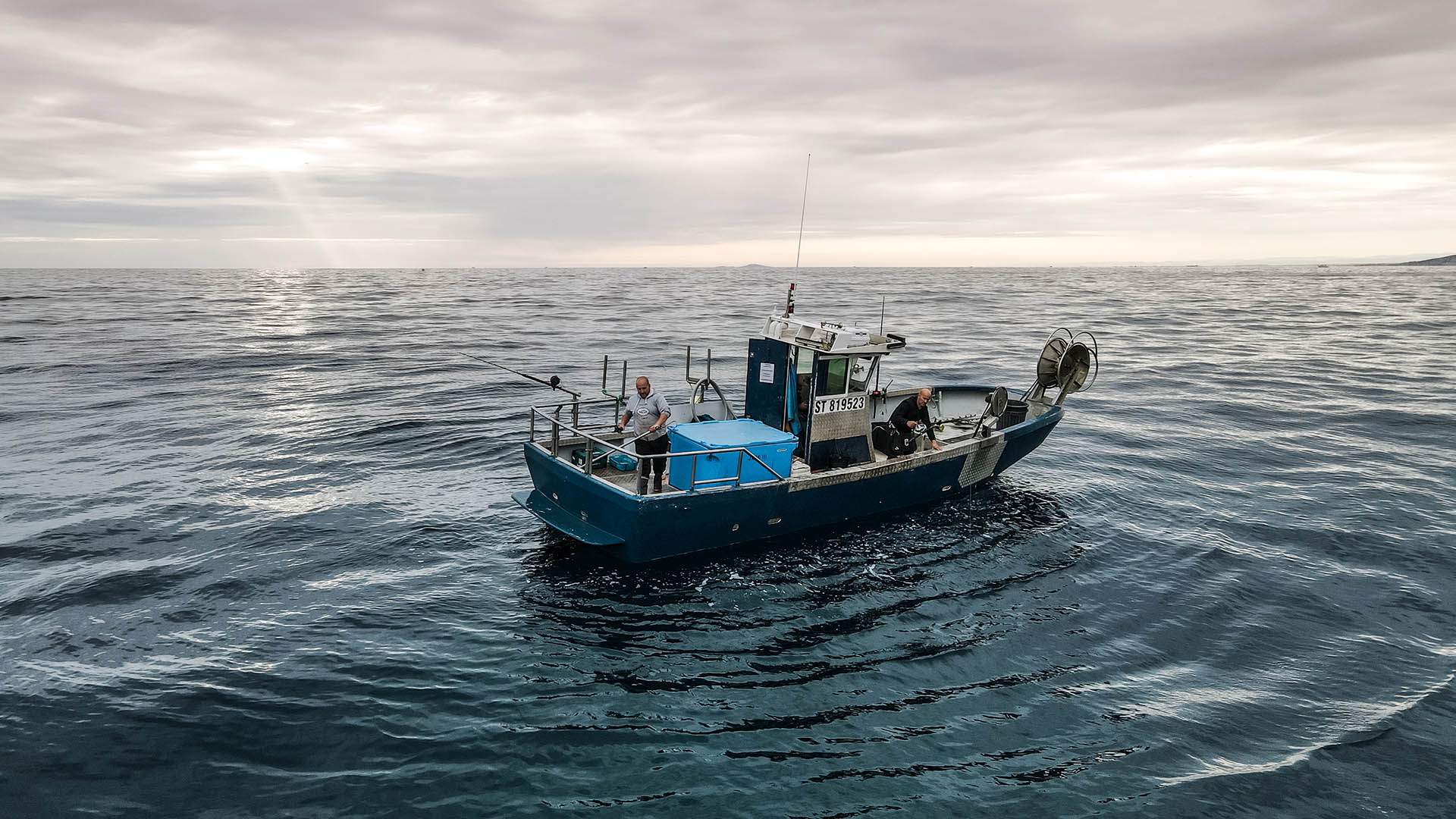 FAO udsender ny global vurdering af verdens fiskebestande. MSC: Et reelt skridt fremad