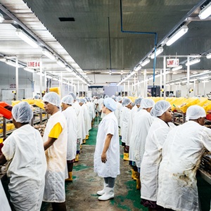 Perusahaan rantai pasok