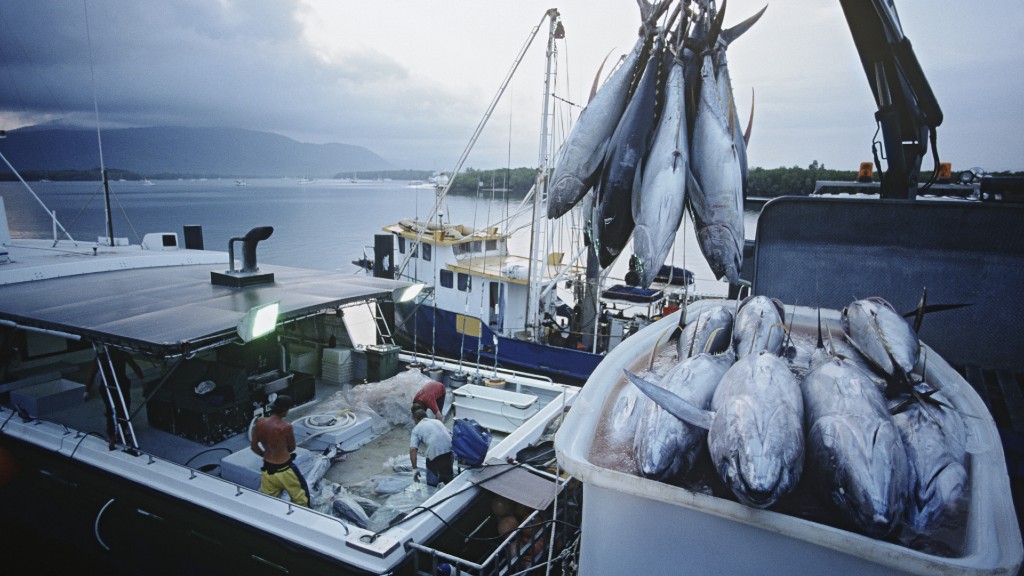 Off the Australian coast, a fishing ship loads tuna into a container.