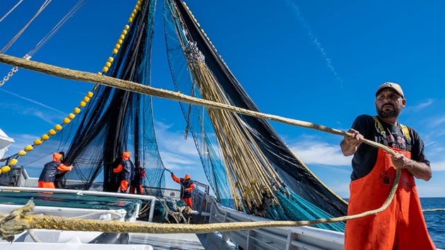 Fisheries Standard 3.0 implementation