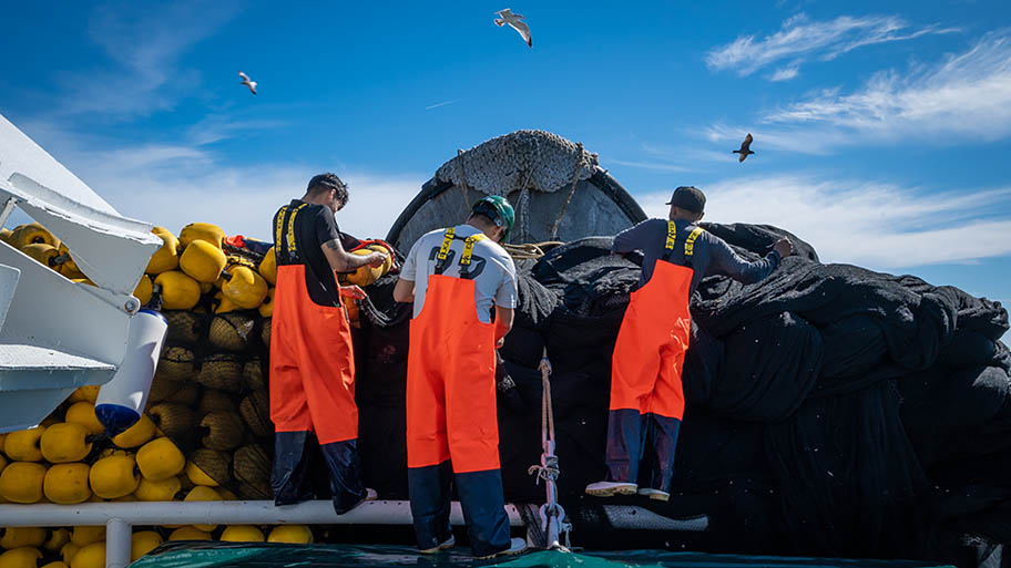 MSC meets global benchmark for credible seafood programmes