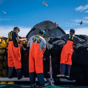 Cinco coisas a saber sobre o estado das pescas no mundo - 2022