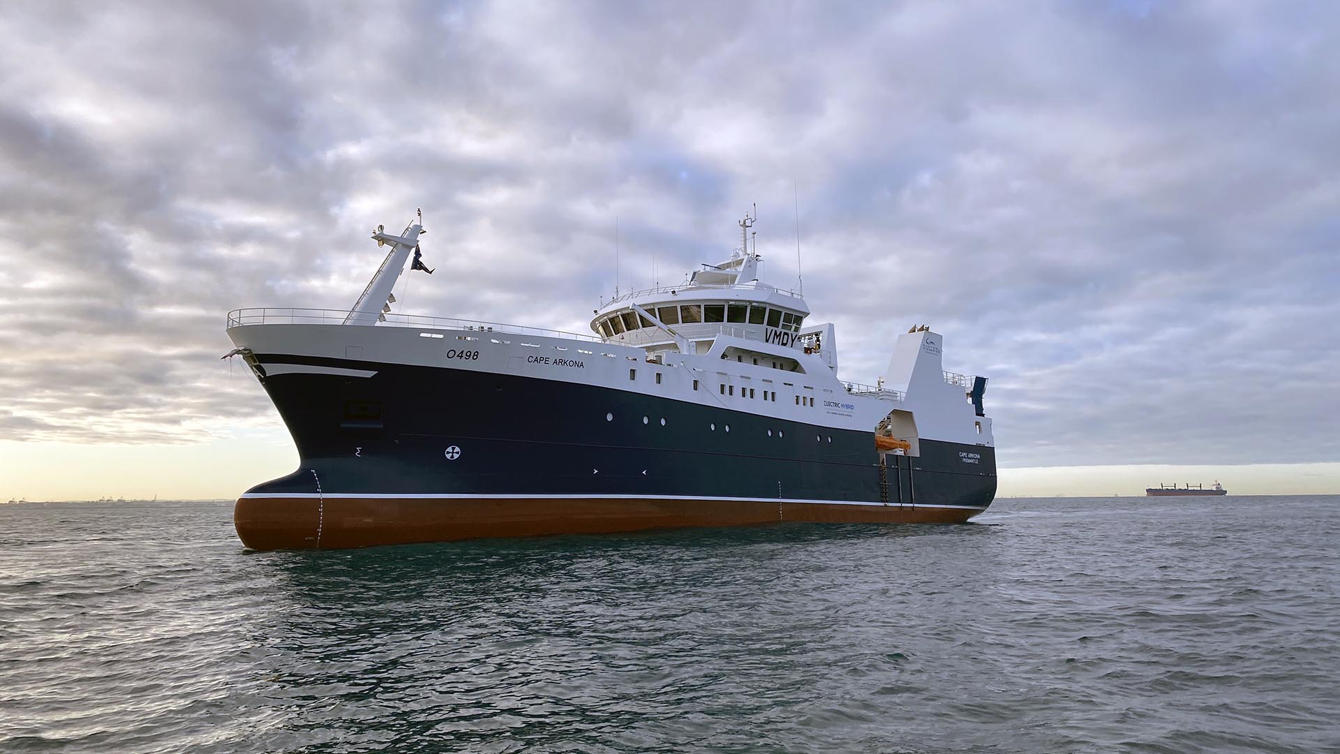 Protecting deep-sea dwelling skates in an Australian toothfish fishery