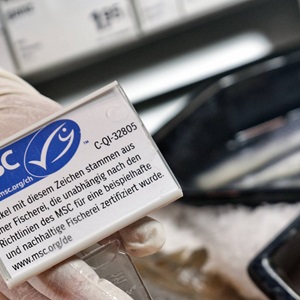 Menggunakan label MSC