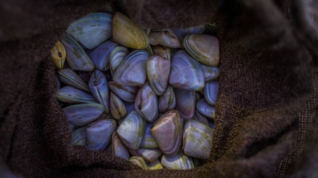 Shuffling for sustainability