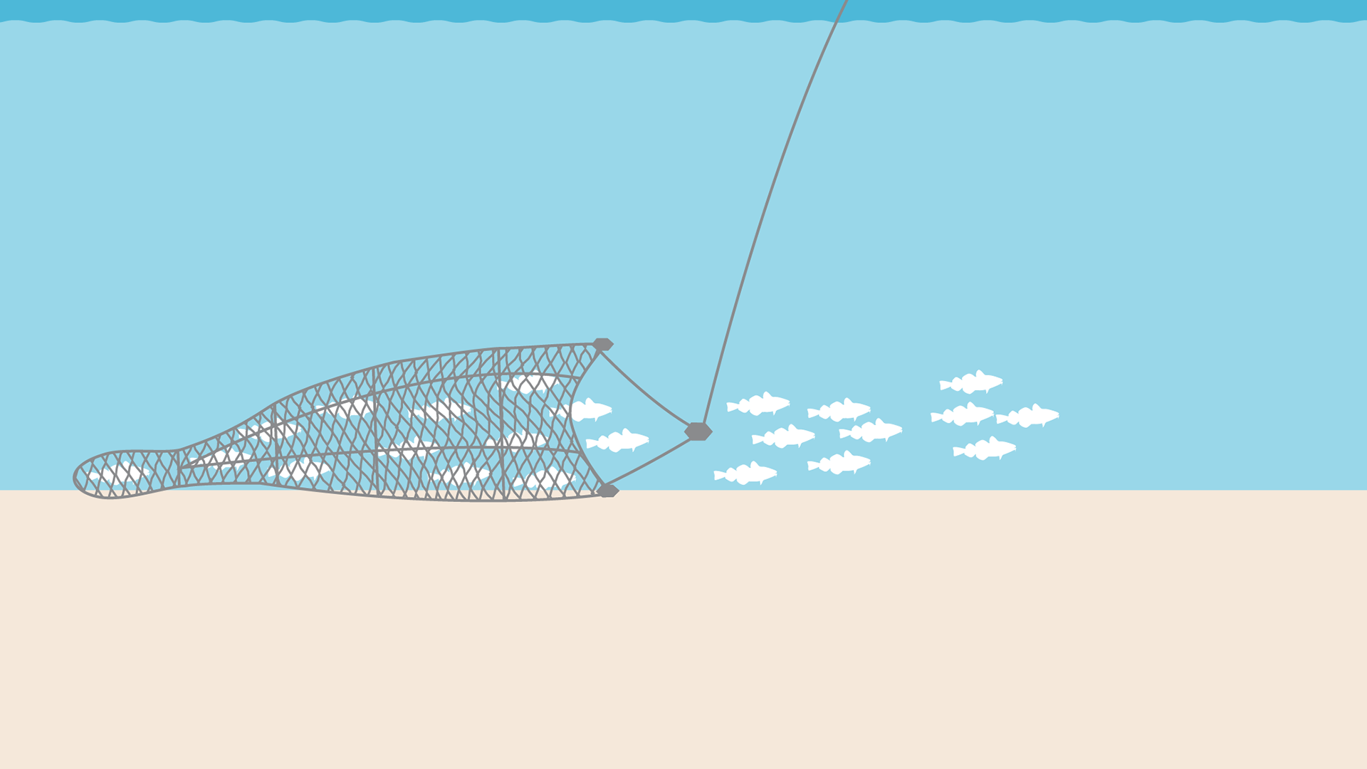 What is Bottom Trawling  Marine Stewardship Council