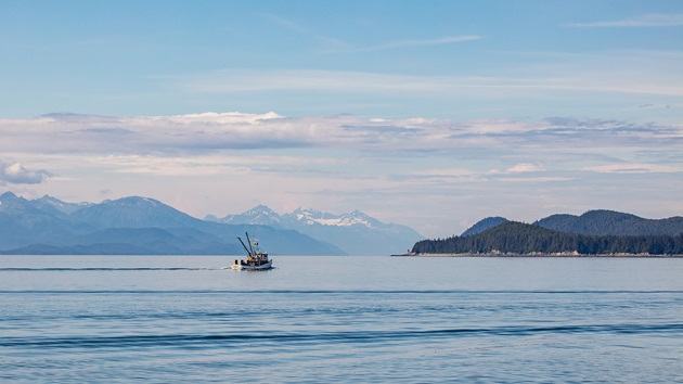 Vous êtes un professionnel ?