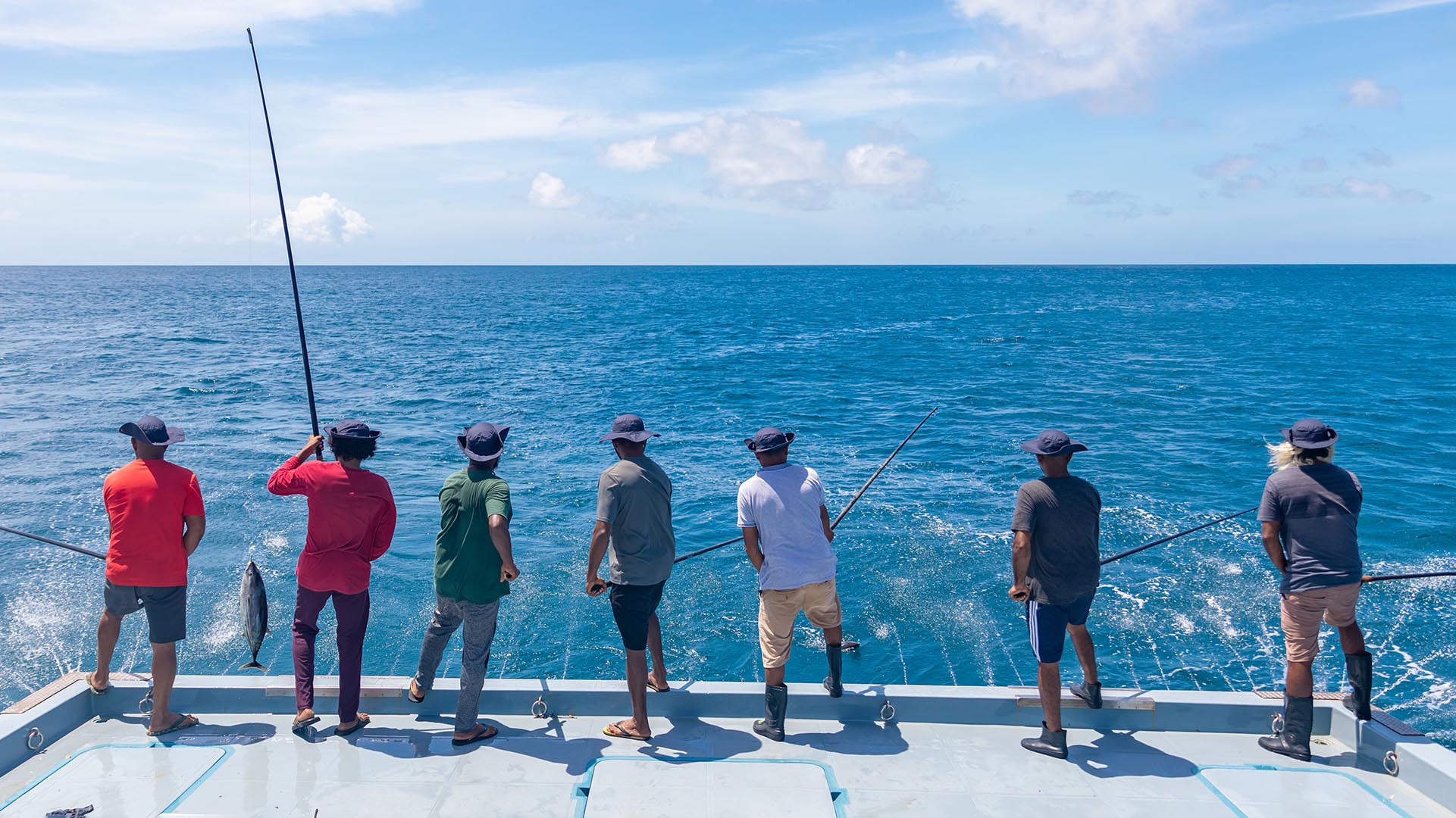 Maldives skipjack tuna: a sustainability success story