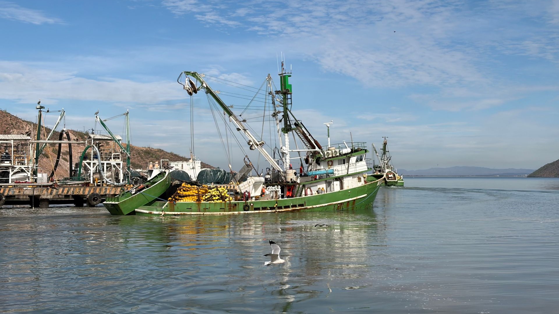 Sonora sardine purse seine vessel Sardine purse seine vessel in Sonora, Baja California