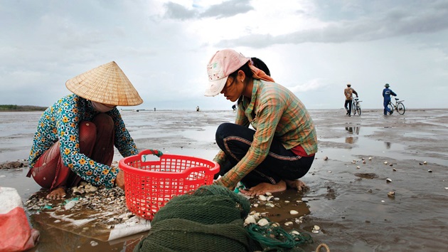 Notre approche pour les pêcheries à données limitées
