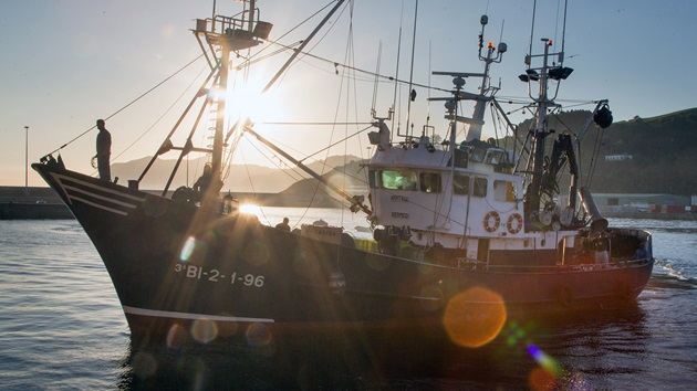 Annual report 2019-2020