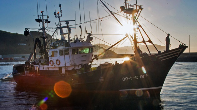 Annual report 2019-2020