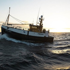Fiskeristatus i Nord-Atlanteren