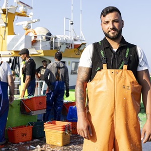 The return of Iberian sardines