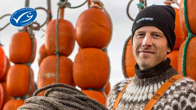 The MSC Annual Report 2023-24