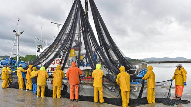 Le Référentiel Pêcheries du MSC