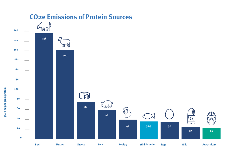 Bar graph showing CO2 emissions of different protein sources