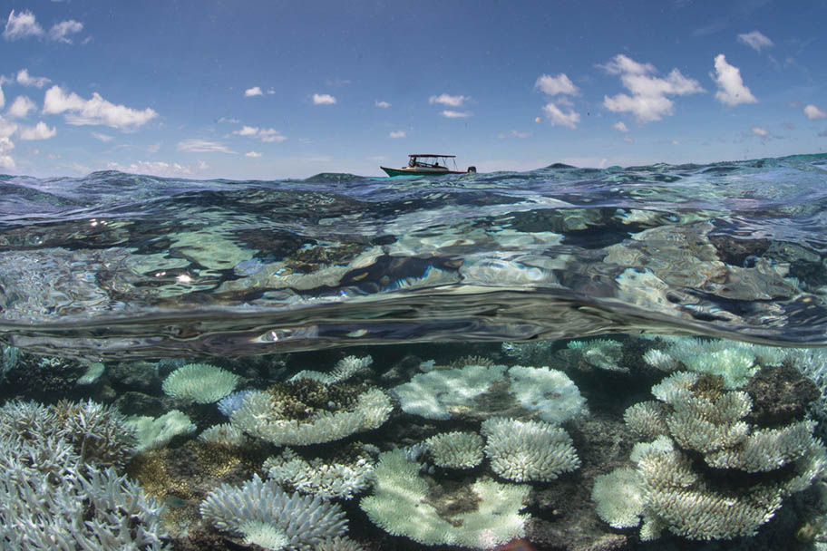 Shallow underwater shot of bleached coral with small boat on surface on horizon