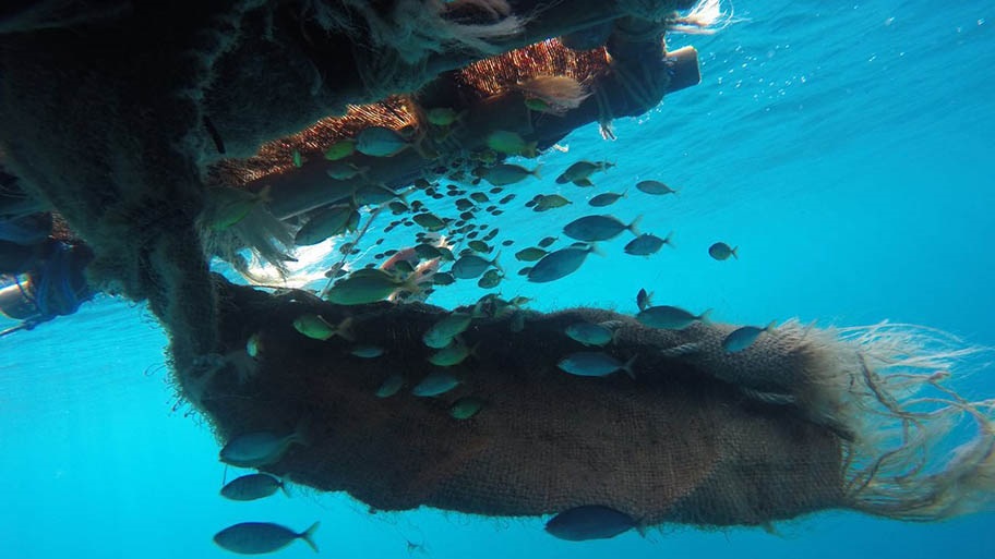 Biodegradable Fish Aggregating Device (eco-FAD) underwater, Ecuador