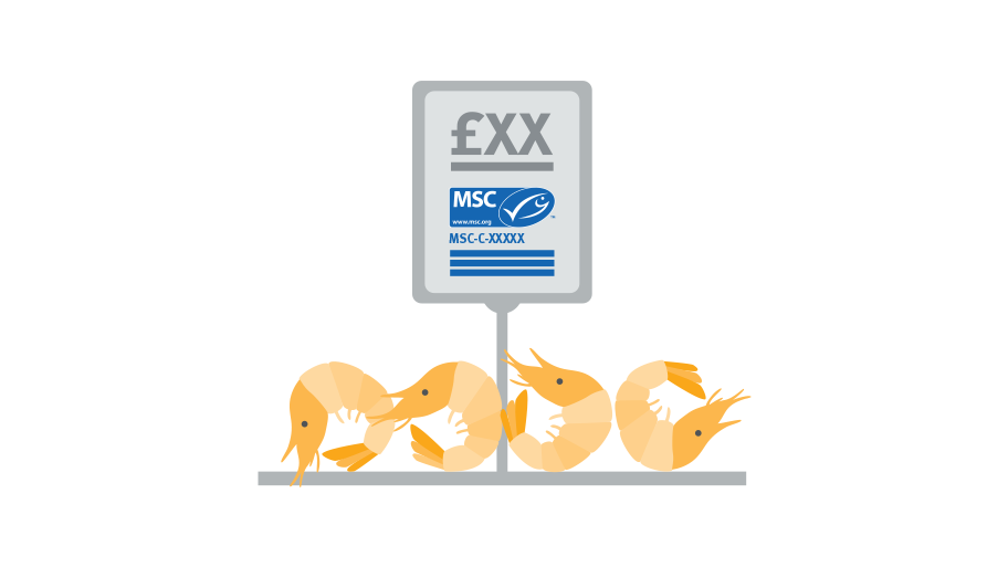 Fresh fish counter price tag showing the MSC label, claim and Chain of Custody code