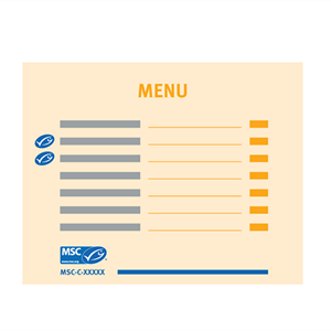 MSC brand guidelines