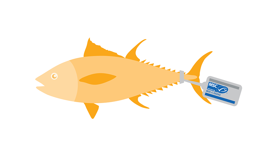 MSC fish tag labelling