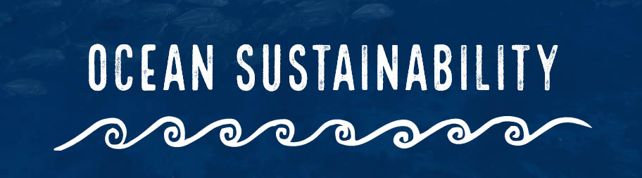 Ocean-sustainability-PowerPoint lesson title page