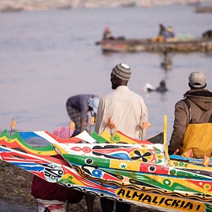 漁業改善プロジェクト（FIP）