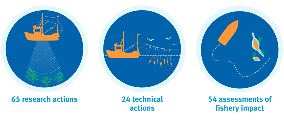 Icon illustrations showing research actions, technical actions and assessments of fishery impact