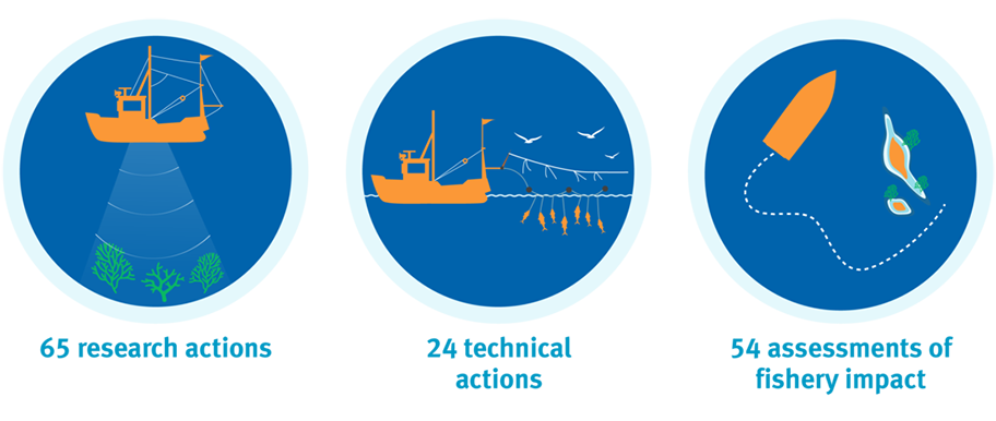 Icon illustrations showing research actions, technical actions and assessments of fishery impact