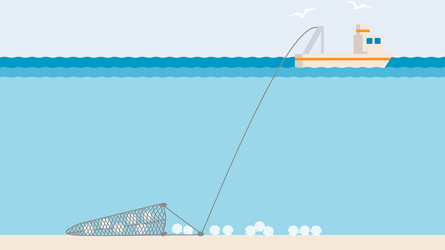 Dredging fishing gear illustration