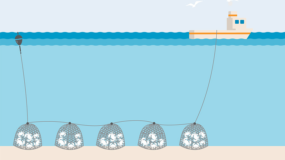 Pots and traps fishing gear illustration