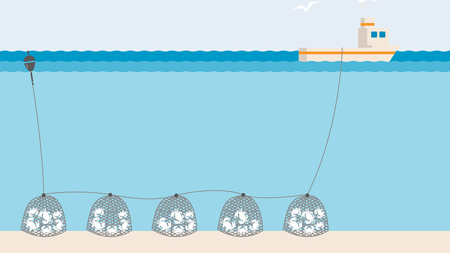 Pots and traps fishing gear - Marine Stewardship Council