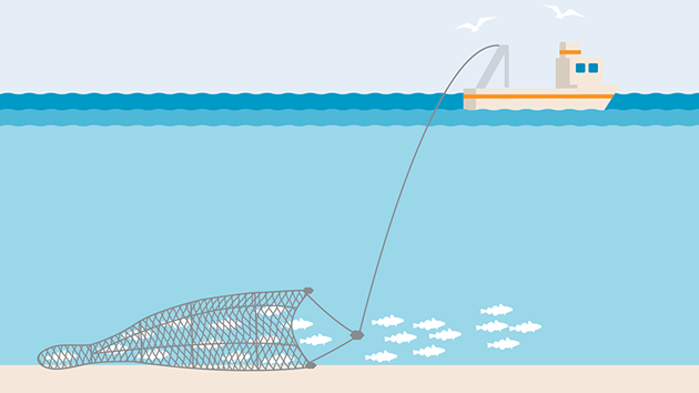 Fishing methods and gear types  Marine Stewardship Council