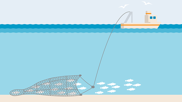 Summary diagram of various types of commonly used commercial fishing