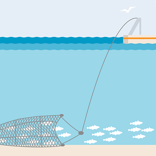 Demersalt trawl