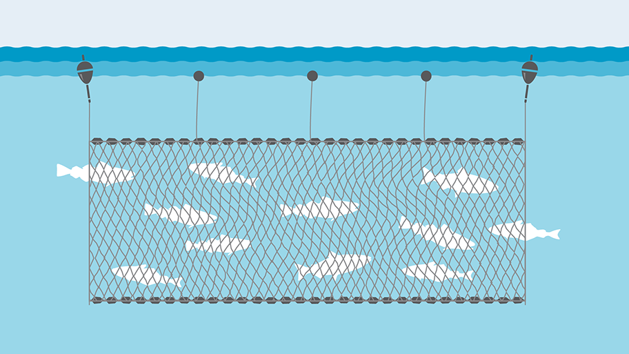 Gillnet fishing gear illustration