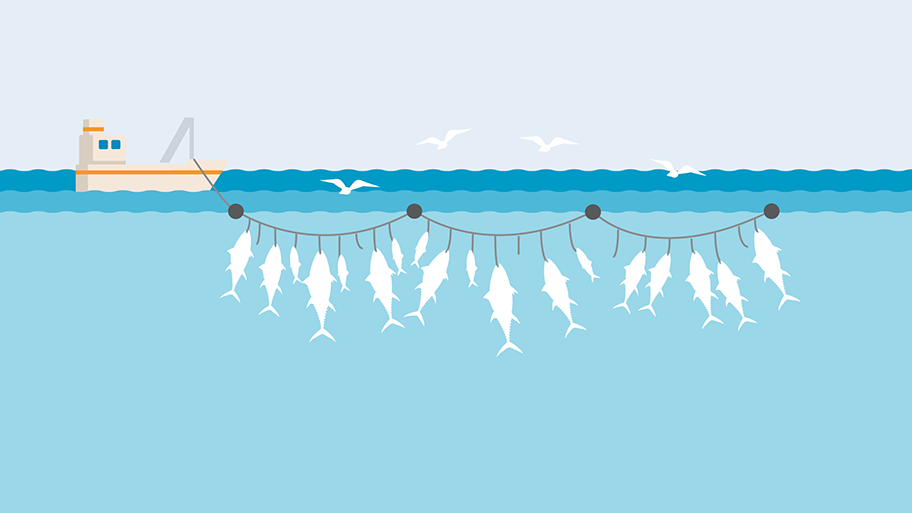 Longline fishing gear illustration