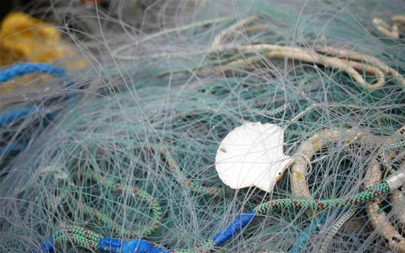 Ghost fishing nets with shell caught in them