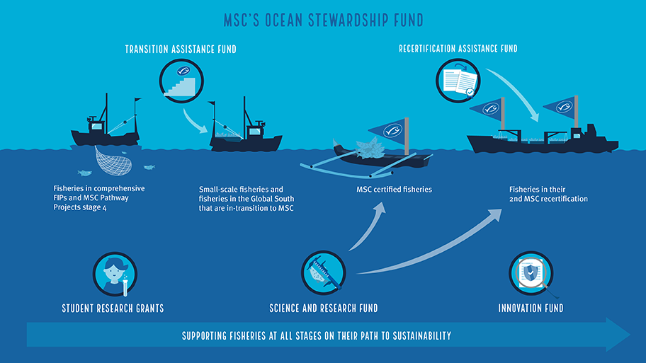 An infographic showing the five sub-funds of the MSC's Ocean Stewardship Fund