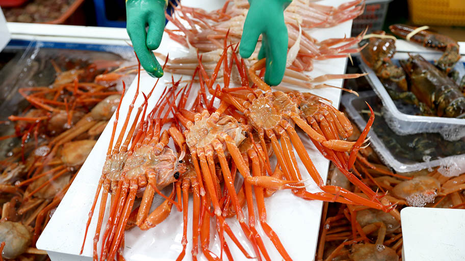 Gloved hands placing snow crabs on white surface at market