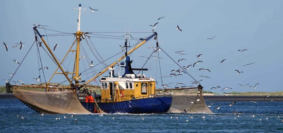 Boat on sea with seabirds