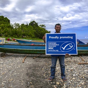 Gatunki ryb dostępne z certyfikatem MSC