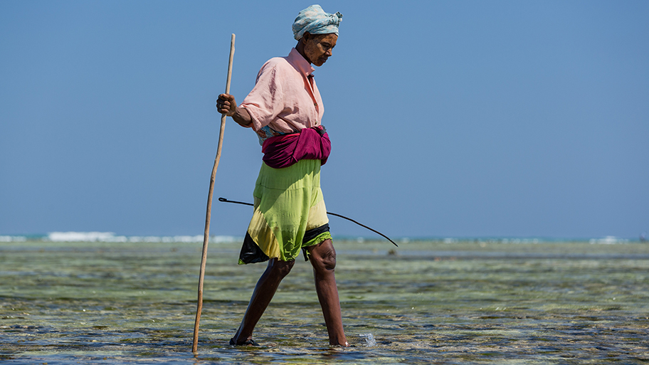 Woman fisher walking in shallow water with a stick with blue sky in the background.
