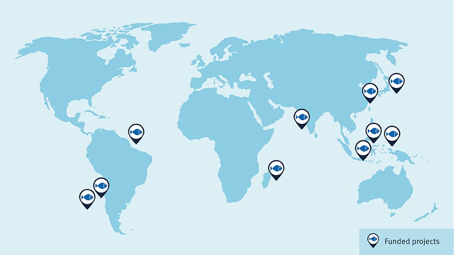 A map showing the locations of the eleven funded projects around the world. Six projects are in Asia, two in Africa and three in South America.