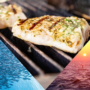 Summer Seafood Recipes 2025