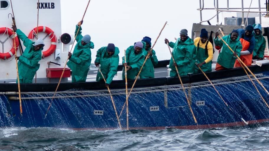 Fishers in green jackets on edge of boat with poles to hook tuna